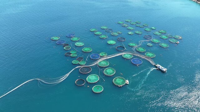 Aerial drone cinematic video of aquaculture fish farm cages producing sea breem and sea bass in deep blue Mediterranean sea