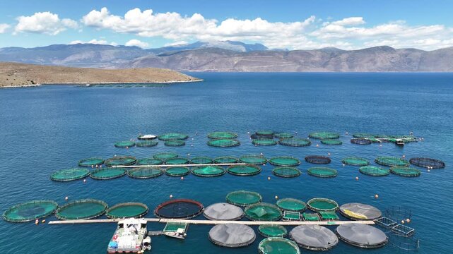 Aerial drone cinematic video of aquaculture fish farm cages producing sea breem and sea bass in deep blue Mediterranean sea