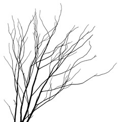 Obraz premium A minimalist illustration of bare tree branches against a white background