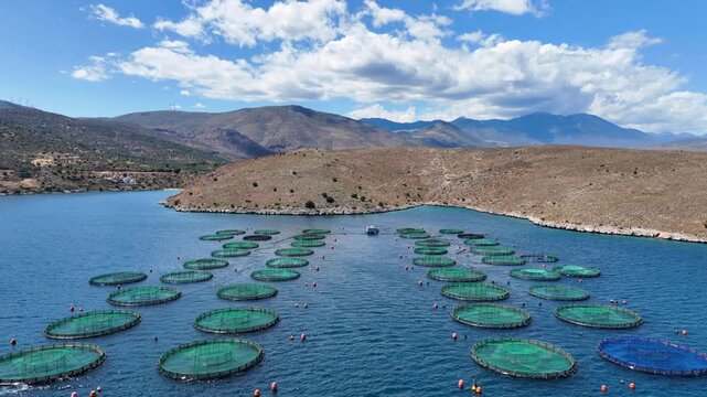 Aerial drone cinematic video of aquaculture fish farm cages producing sea breem and sea bass in deep blue Mediterranean sea