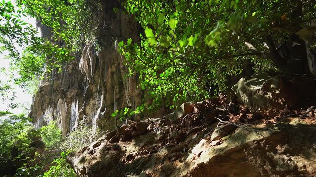 Natural skylight illuminating the interior limestone formations and lush green plants within Khao Chang Lon Cave in Songkhla Southern Thailand.
