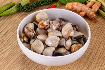 Raw fresh wild clams mollusc © Andrei Starostin