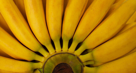 Fototapeta premium Closeup fresh banana background.