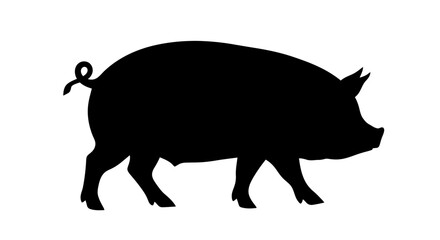 Fototapeta premium Black silhouette of a walking pig.