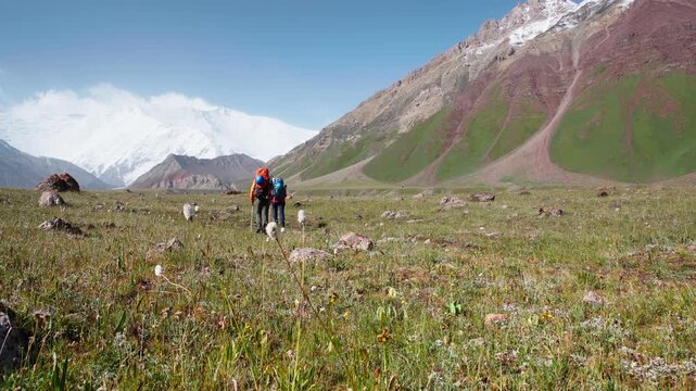 couple moving to high camp at Lenin Peak. Mountaineers with backpacks cross grass meadow at 3600m Base Camp location with vast panoramic view of Pamir mountains with Lenin Peak wall. Lenin peak exp