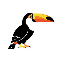 A colorful toucan with a large beak © KHDEJASTOCK