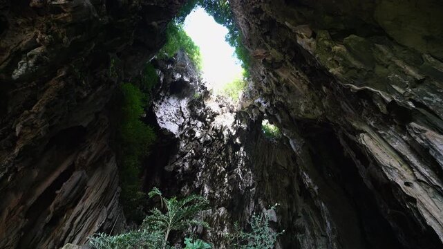 Natural skylight illuminating the interior limestone formations and lush green plants within Khao Chang Lon Cave in Songkhla Southern Thailand.