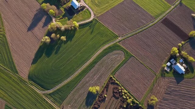 Aerial view of patchwork farmland with winding roads and a small farmhouse; geometric fields and tree clusters in green and brown tones