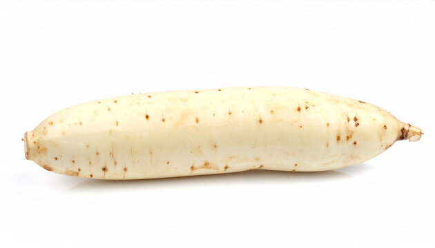 Single white daikon radish root vegetable isolated on a clean white background