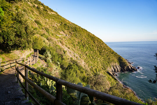 View of a winding path hugging the verdant hillside, the turquoise sea stretching to the horizon, a rustic wooden fence guiding the way, Vernazza, Liguria, Italy.