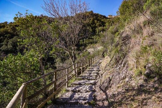 View of a stone pathway ascends through a verdant hillside, bordered by a rustic wooden fence under a bright blue sky, Vernazza, Liguria, Italy.