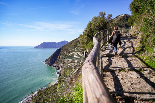 View of a woman walking along a rugged, stone path lined with a wooden railing, overlooking the stunning turquoise sea and verdant cliffs, Vernazza, Liguria, Italy.