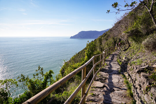 View of a rugged path winds along a steep coastline, where vibrant green vegetation meets the deep blue sea under a clear sky, Vernazza, Liguria, Italy.