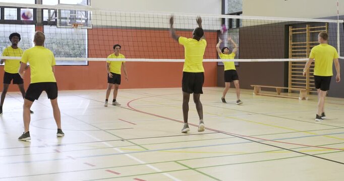 Diverse male players in yellow reaching loose ball at net practicing picking sending ball in gym