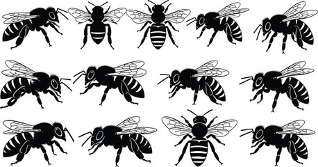Bee illustration collection, black and white insect icons, detailed wings and body segments, top-down and side view, nature design, pollination concept © MstFojila
