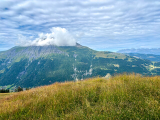 Naklejka premium Alpine meadow with panoramic mountain view in Les Contamines-Montjoie, France