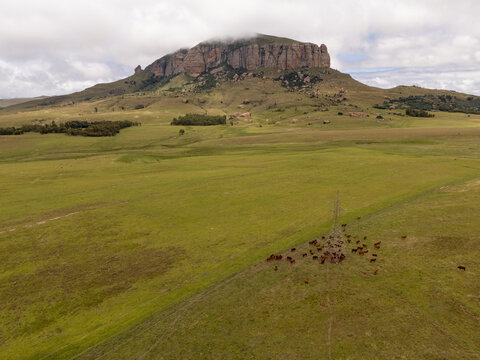 Aerial view of emerald pastures meet the rugged Drakensberg foothills under a sky draped with soft clouds, Harrismith, Free State, South Africa.