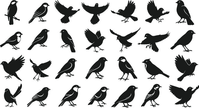 Bird silhouette collection flying perccollection flying perched sparrow crow wildlife animals blac