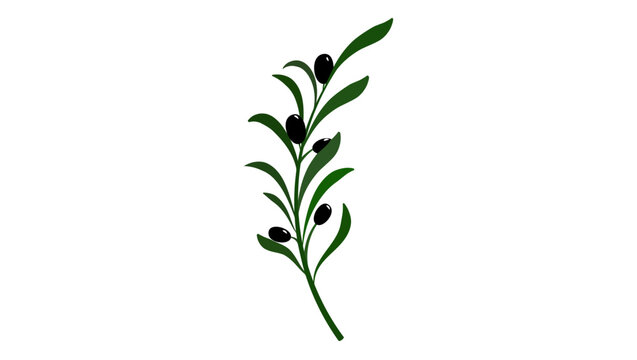 olive branch , flat color vector illustration