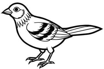 Obraz premium rosella bird silhouette line art vector illustration with a white background