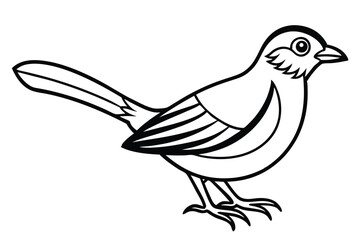 Fototapeta premium rosella bird silhouette line art vector illustration with a white background
