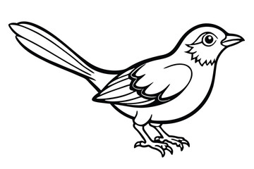 Obraz premium rosella bird silhouette line art vector illustration with a white background