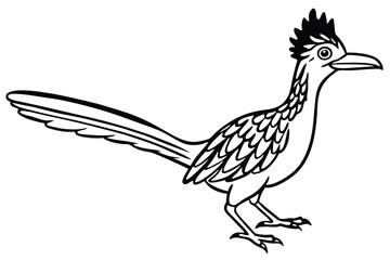 Fototapeta premium roadrunner bird silhouette line art vector illustration with a white background