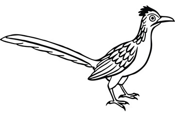 Obraz premium roadrunner bird silhouette line art vector illustration with a white background