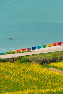 Aerial View of Yellow Canola Fields with Blue Sea in Cheongsando Island South Korea