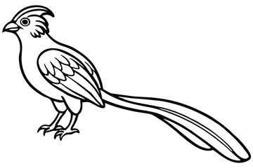 Fototapeta premium roadrunner bird silhouette line art vector illustration with a white background