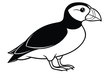 Fototapeta premium puffin bird silhouette line art vector illustration with a white background
