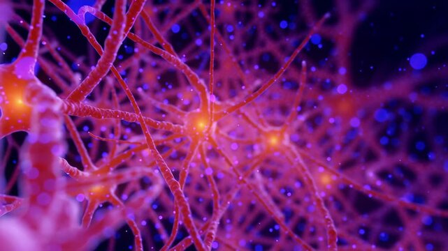 Network signal brain nerve cell neurology science biology neuron synapse cortex axon dendrite glowing synapse communication electric impulse microscopic connection organic tissue medical anatomy