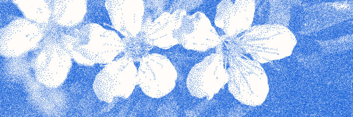 Fototapeta premium Blue cyanotype apple blossom botanical background. Stipple dot overlay texture with flower and twig silhouette. Delicate indigo blue nature banner for template and graphic design project.