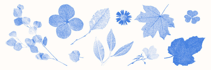 Blue cyanotype botanical and floral elements asset pack. Stipple dot overlay texture with flower and twig silhouette. Delicate indigo blue nature shape for template and graphic design project. © gorozhinak