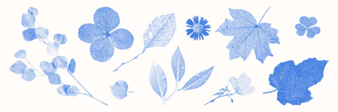 Blue cyanotype botanical and floral elements asset pack. Stipple dot overlay texture with flower and twig silhouette. Delicate indigo blue nature shape for template and graphic design project.