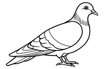Obraz premium pigeon silhouette line art vector illustration with a white background