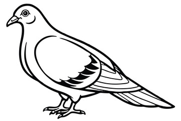 Obraz premium pigeon silhouette line art vector illustration with a white background