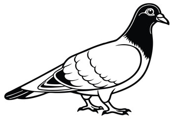 Obraz premium pigeon silhouette line art vector illustration with a white background