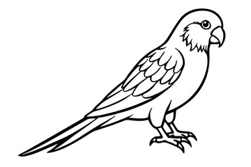 Fototapeta premium parakeet bird silhouette line art vector illustration with a white background