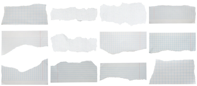 Collection of various torn paper pieces, including graph paper and ruled notebook sheets.