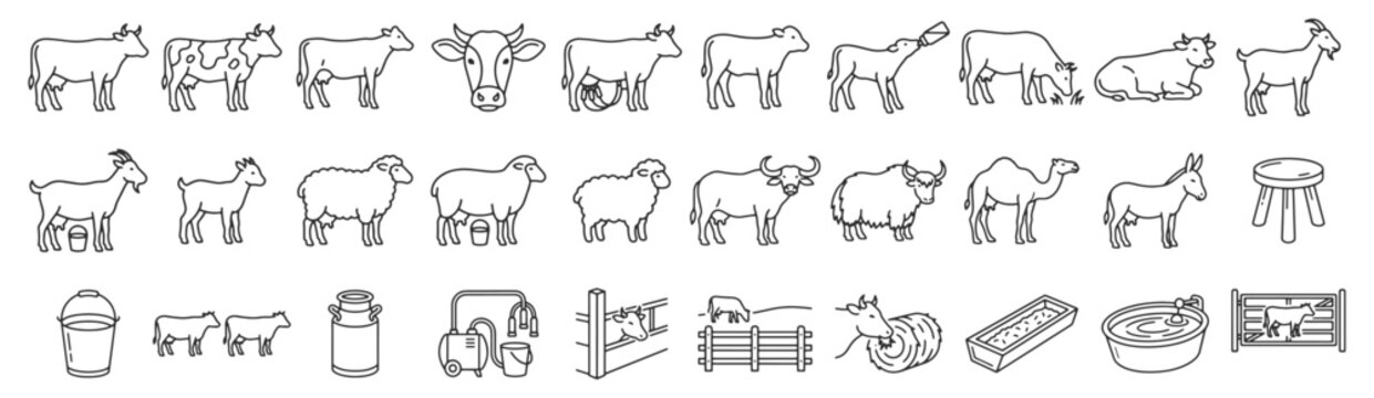 Farm livestock line icon set. Cow, goat, sheep, buffalo, yak, camel, donkey, milking, bucket, machine, fence, trough, barn, gate, stool, calf outline vector illustrations. Signs for farming.