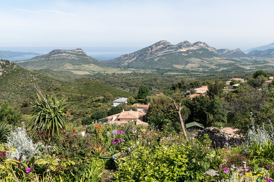 CORSE - OLETTA