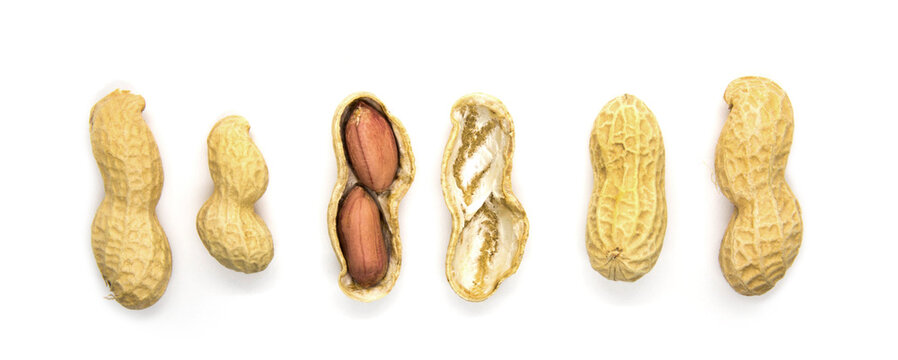 Groupe of peanuts in the shell isolated on white background