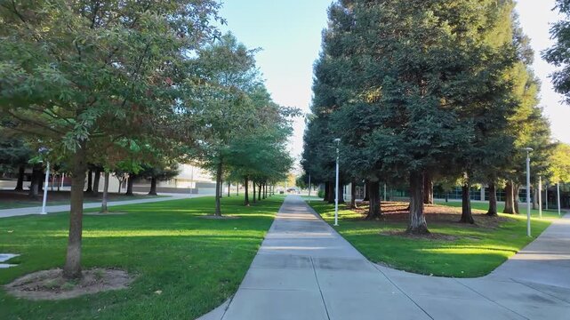 First person perspective slowly walking along a concrete sidewalk through the beautiful campus of Modesto Junior College in California, surrounded by green lawns and lush trees on a sunny day