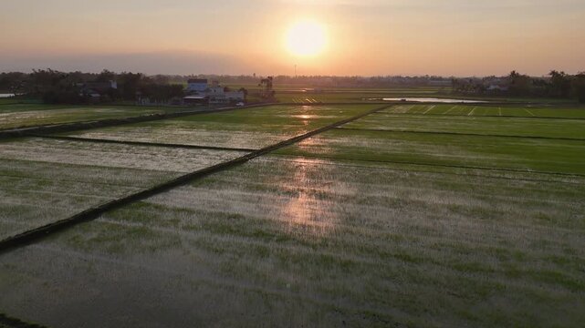 Aerial view of flooded rice paddies reflecting the warm sunset hues, creating a serene and picturesque landscape, Hoi An, Vietnam.