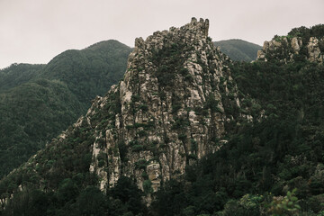 Majestic, rugged mountain peak with weathered rock formations emerging from dense green forests under an overcast sky. This powerful natural landscape evokes untamed wilderness, raw beauty, and a sens © KatyaPulka
