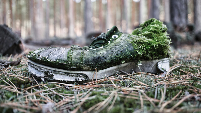 A Worn-Out Sneaker Overgrown with Green Moss Lying on the Forest Floor