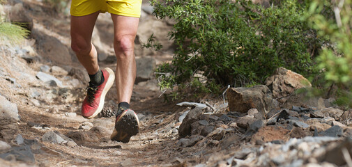 Walking or running exercise legs on rocky footpath in bright forest achievement fitness adventure and exercising in spring or summer nature motivation and inspirational activity