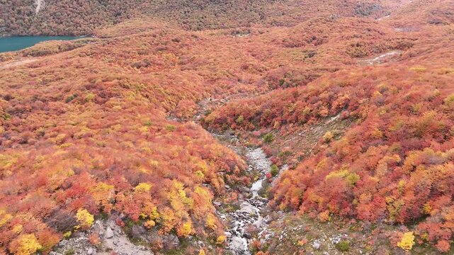 Aerial view of the landscape with rivers and colorful forests in autumn, showcasing the vibrant colors of the region, Chalten, Argentina.