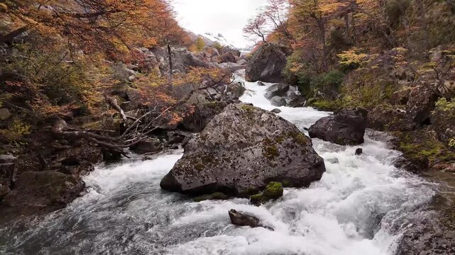 Aerial view of rushing white water flowing through a rocky riverbed surrounded by autumn trees with snow-capped mountains, Chalten, Argentina.